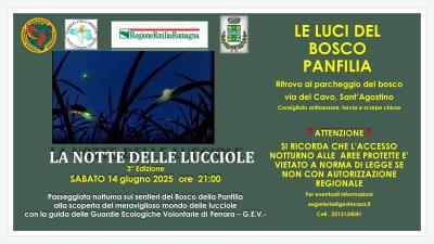 La notte delle lucciole foto 