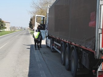 Estensione controllo elettronico del transito mezzi pesanti nel Comune di Terre del Reno