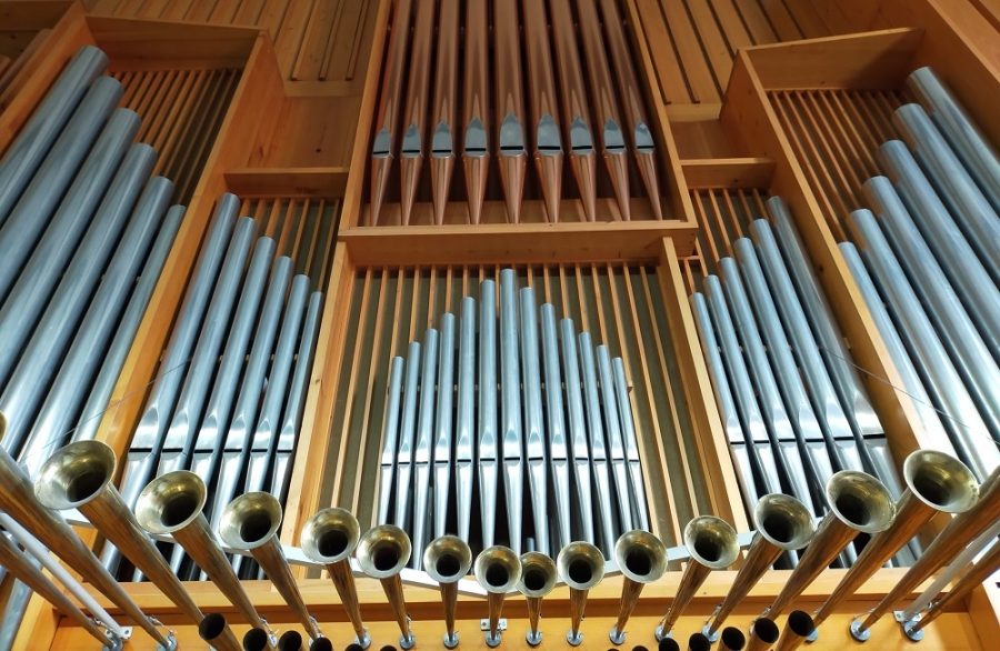 Ferrara Organistica
