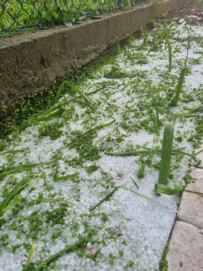 PROTEZIONE CIVILE - NUBIFRAGIO 22 LUGLIO 2023 - AGGIORNAMENTO RACCOLTA 10/08/2023 PROTEZIONE CIVILE - NUBIFRAGIO 22 LUGLIO 2023 - AGGIORNAMENTO RACCOLTA 10/08/2023