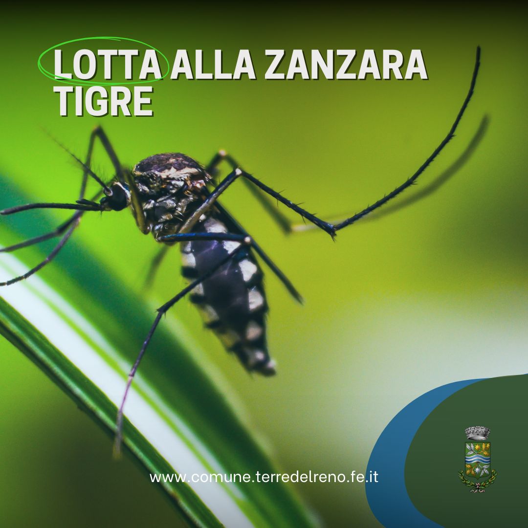 Lotta alla zanzara tigre