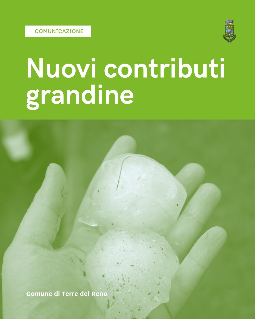 Nuovi contributi grandine Nuovi contributi grandine